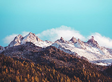 米乐官网:以品质为锚,点亮你的数字生活入口