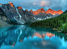 APP下载，官方网站：开启无忧安装的新纪元