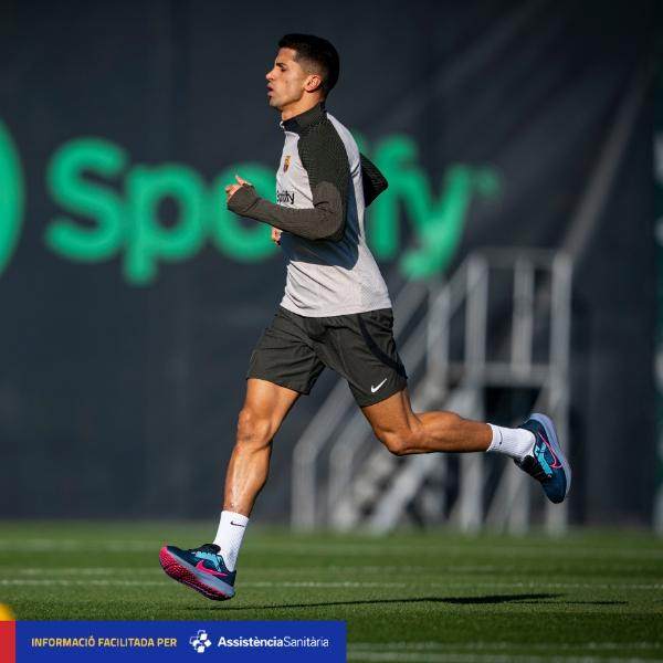 1704465841511015982.jpg 坎塞洛.jpg